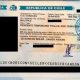 Visa democrática de Chile